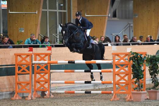 Foto: Sieg für Stefan Eder im Opening der Gold Tour - Fotograf: © Horse Sports Photo 