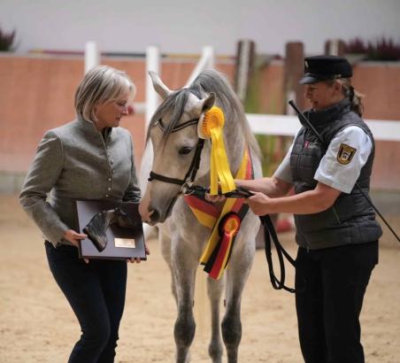 Foto: Fand den Ehrenpreis, den Landoberstallmeisterin Dr. Astrid von Velsen hielt, offenbar total interessant - Siegerhengst WM Daraschad ox, prämierter Star der Körung beim VZAP in Kranichstein - Fotograf: Angelika Schmidt