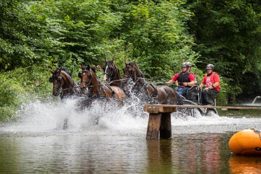 Foto: Eines der Highlights des CHI Donaueschingen: Die Wasserdurchfahrt auf der Marathon-Strecke: WM-Medaillengewinner Michael Brauchle mit seinem Gespann - Fotograf: Stadt Donaueschingen