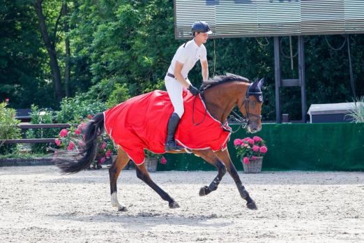 Foto: Erneut ganz vorn mit dem sieben Jahre alten Landeschampion Chanio - Sven-Gero Hünicke beim CSE Ehlersdorf - Fotograf: Fotografie C.B