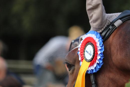 Foto: Auf gehts zur ersten Etappe um Schleifen und Punkte beim Balios Hunter Cup 2022 - Fotograf: Archiv RathmannVerlag