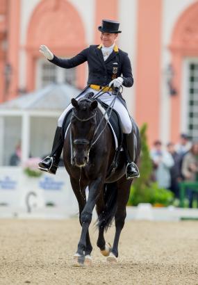 Foto: Weihegold OLD – über den Louisdor-Preis zur Siegerin beim Wiesbadener PfingstTurnier und zu olympischem Gold! - Fotograf: Sportfotos-Lafrentz