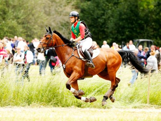 Foto: Julia Krajewski und Samourai du Thot – die Sieger in der Wiesbadener Vielseitigkeit 2015 - Fotograf: WRFC/Toffi