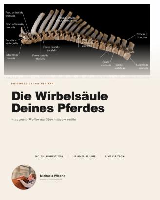 Zum Vergrößern einfach aufs Bild klicken! Zum Vergrößern einfach aufs Bild klicken!