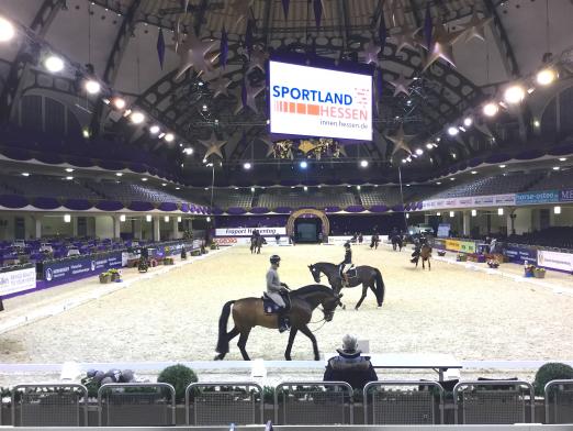 Foto: Warm-Up in der Frankfurter Festhalle für Dressurreiter und -pferde - die Ruhe vor dem Ansturm der Zuschauer - Fotograf: Kerstan Medien