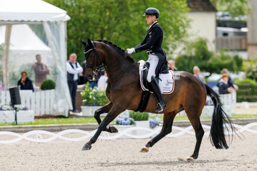 Foto: Der Hagener Frederic Wandres und Bluetooth OLD sind für das deutsche Nationenpreis-Team nominiert - Fotograf: © Pferdefotografie Stefan Lafrentz Foto: Der Hagener Frederic Wandres und Bluetooth OLD sind für das deutsche Nationenpreis-Team nominiert - Fotograf: © Pferdefotografie Stefan Lafrentz