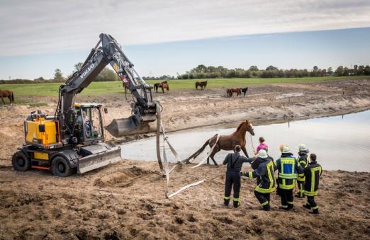 Foto: Pferderettung in Kleve OT Rindern - Fotograf: Feuerwehr Kleve