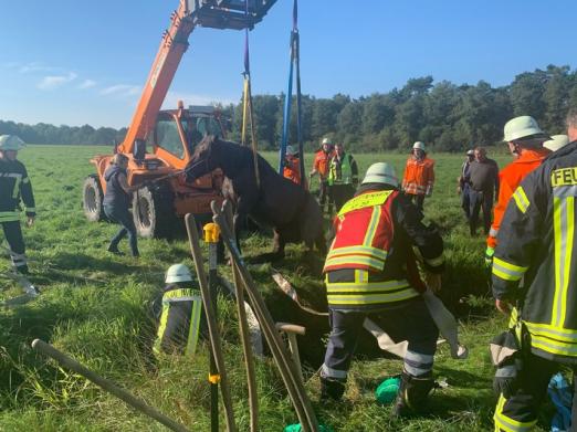 Foto: Das Pferd wird aus dem Graben gehoben - Fotograf: Kreisfeuerwehr Rotenburg (Wümme)