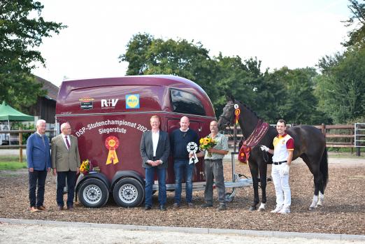 Foto: Gesamtsiegerstute DSP Stutenchampionat - Fotograf: Reumann 