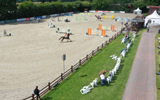 Foto: Kat.- Nr. 42 Million Dayguiva v. Million Reasons - Daiquiry – Steendieks Mc Laren - Fotograf: OLD Art