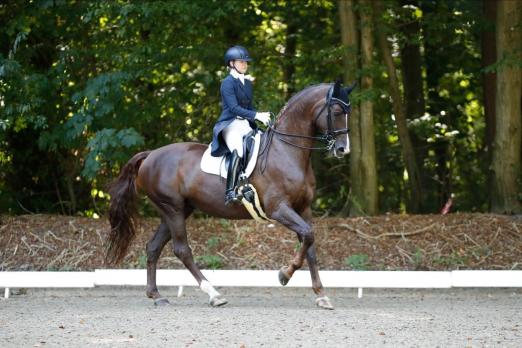 Foto: Franziska Haase und Belaabs erobert auf Anhieb Platz eins in der Junge Reiter/ U25-Konkurrenz bei den Landesmeisterschaften in Bad Segeberg - Fotograf: Tierfotografie Huber