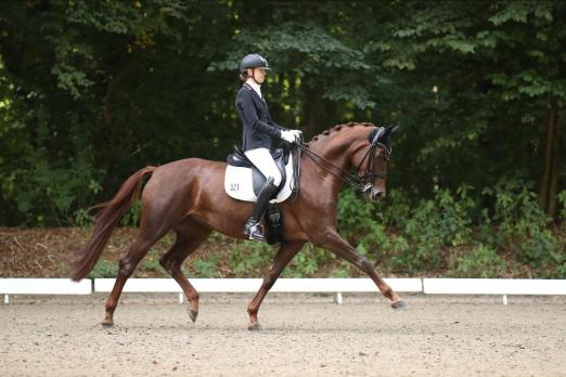 Foto: Helena Schmitz-Morkramer und Florentine aus Hamburg nahmen Kurs auf den LM-Titel in Bad Segeberg - Fotograf: Tierfotografie Huber