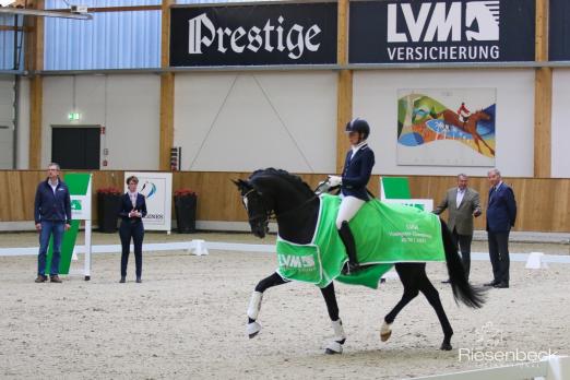 Foto: Hengstparade bei den Qualifikationen zum Bundeschampionat - Foto: RI
