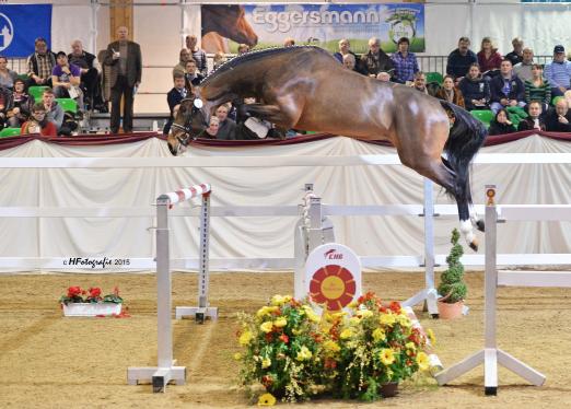 Foto: Cullinan Du Borget B - Fotograf: Hubert Fischer/hf-fotografie.de