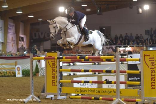 Foto: Vingino (v. Voltaire-Cassini I-Quidam de Revel) unter Tobias Bachl bei der Hengstgala im Rahmen der 13.Süddeutschen Hengsttage 2016 - Fotograf: Fotoagentur-Dill