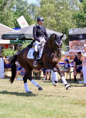 Foto: Feines Reiten par excellence: Birgit Hild und ihr Goldmond TSF siegten im Prix St. Georges beim Trakehner Bundesturnier - Fotograf: Imke Eppers