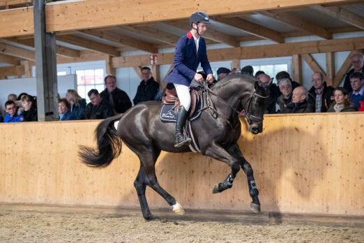 Foto: Der Holsteiner Reservesieger 2018, Colcannon, wurde erstmals unter dem Sattel von Sven Otto präsentiert - Fotograf: Stefan Lafrentz