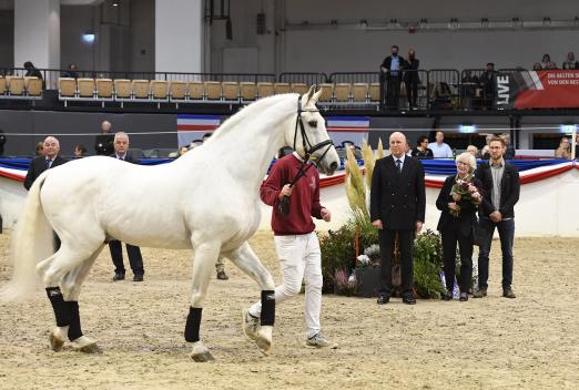Foto: Der Holsteiner Hengst Calido von Cantus war der älteste und bewunderte vierbeinige Ehrengast zur Verabschiedung von Dr. Thomas Nissen in den Holstenhallen Neumünster - Fotograf: Janne Bugtrup