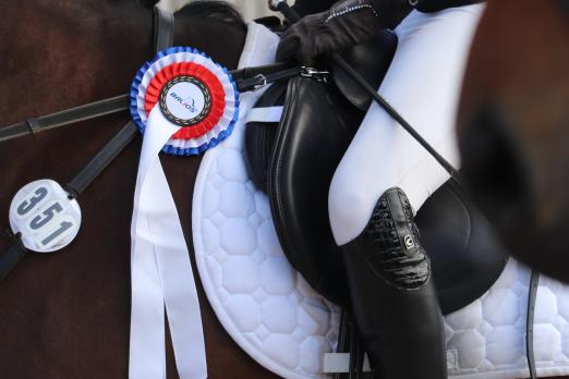 Foto: Wichtig im Balios Hunter Cup - Ein besonderer Fokus bei der Bewertung liegt auf dem Gesamteindruck aus den Kriterien für Springpferde- und Stilspringprüfungen - Fotograf: RathmannVerlag