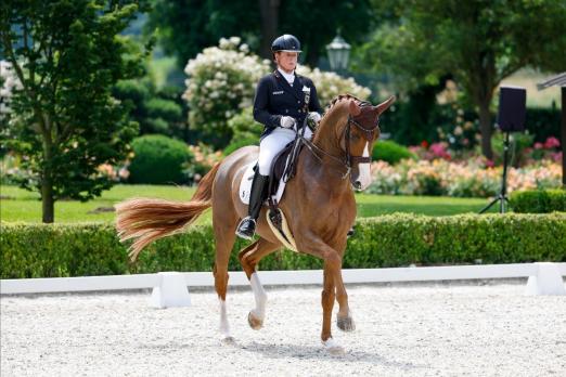 Foto: Isabell Werth und Bella Rose im Grand Prix Special beim Schafthofs Dressurfestival in Kronberg - Siegerin auch in dieser Prüfung - Fotograf: Stefan Lafrentz