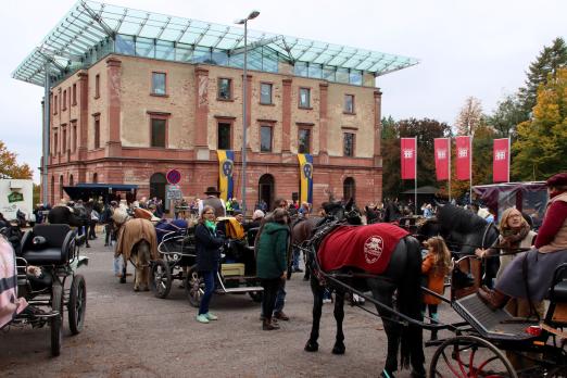 Foto: Sternritt-Vielfalt vor dem Jagdschloss Platte - Fotograf: WRFC/ Elke Weisheit Foto: Sternritt-Vielfalt vor dem Jagdschloss Platte - Fotograf: WRFC/ Elke Weisheit