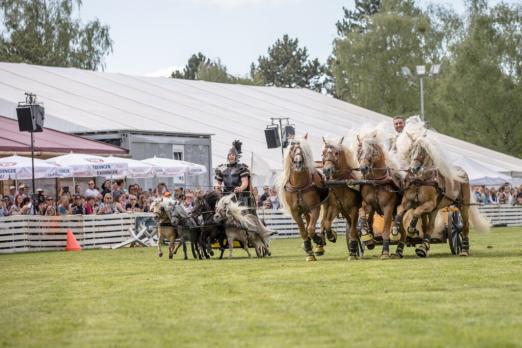 Foto: Jeden Tag auf der Pferd International München wird im Reitstadion ein abwechslungsreiches und buntes Schauprogramm präsentiert werden - Fotograf: Petra Hapke 
