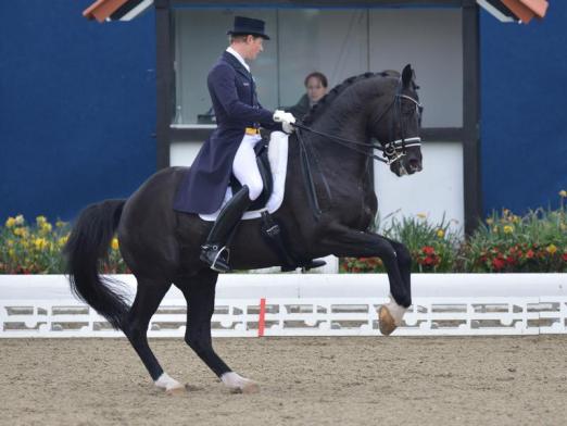 Foto: Matthias Rath zeigt mit Totilas in Hagen eine gute Leistung. - Fotograf: Carmen Jaspersen - dpa