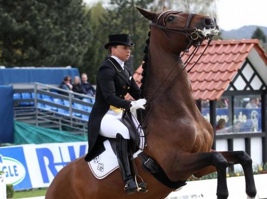 Foto: Dorothee Schneider wude in den A-Kader des Deutschen Olympiade-Komitees für Reiterei berufen - Fotograf: Friso Gentsch - dpa