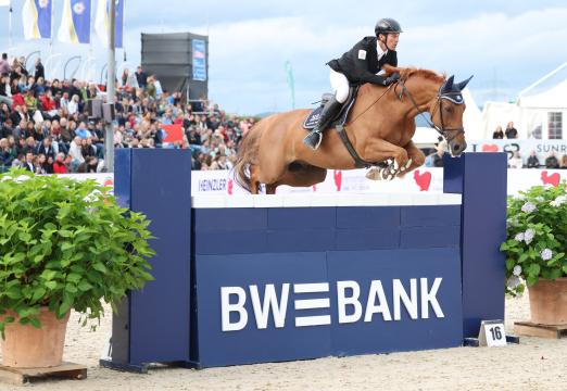 Foto: Konzentriert zum Sieg: Markus Kölz mit Dornadello - Fotograf: Roger Müller