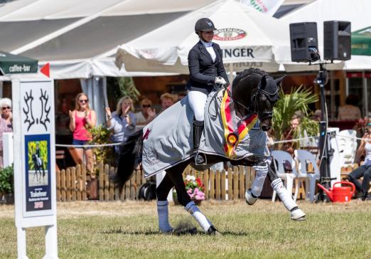 Foto: Der Equitop Myoplast Trakehner Reitpferdechampion 2018, der gekörte Hengst Speedway unter Kim Pfeiffer, ist bereits mehrfach siegreich in Dressurpferdeprüfungen der Kl. L - Fotograf: Stefan Lafrentz