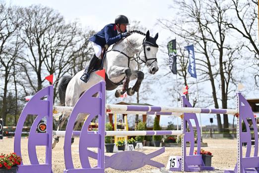 Foto: Der Holsteiner Hengst Quiwi Capitol von Quiwi Dream-Cero I mit Philipp Schulze beim Outdoor-Auftakt in Lastrup - Fotograf: Pferdefotografie Mihsen