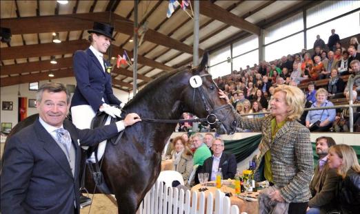 Foto: Herbstauktion auf dem Klosterhof - Burkhard Wahler hat erneut ein sehr gutes Lot an Reitpferden und Fohlen zusammengestellt. Einst fand auch Sommelier hier seine neue Besitzerin - Fotograf: U. Beelitz