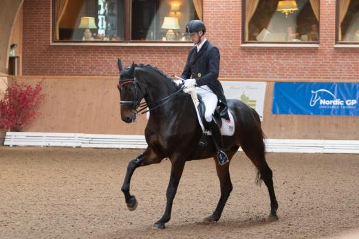 Foto: Felix Kneese, neuer Norddeutscher Berufsreiter-Champion mit Sarah Wilkes Brooklyn Rave im Finale - Fotograf: Tara Gottmann