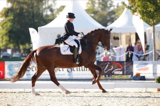 Foto: In der abschließenden Kür genügte Ninja Rathjens und De Nino Platz zwei für den Titelgewinn in der Landesmeisterschaft Dressur SH/ HH - Fotograf: Tierfotografie Huber
