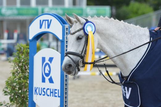 Foto: Das gefeierte Finale des Kuschel Cups 2022 findet am 20. November in Negernbötel statt - Fotograf: RathmannVerlag/Malina Blunck
