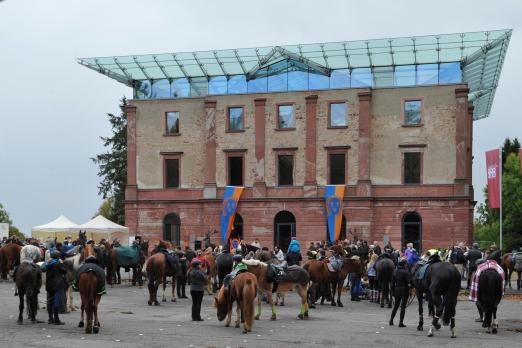 Foto: Der WRFC lädt wieder zu seinem traditionellen Sternritt – wie immer am zweiten Sonntag im Oktober, am 9. Oktober 2022 - Fotograf: Lothar Krug