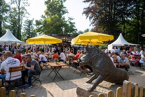 Foto: Die einzigartige Atmosphäre beim Hardenberg Burgturnier - Fotograf: Stefan Lafrentz 