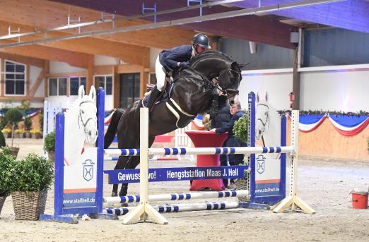 Foto: Vize-Landeschampion Stakkdetto von Stakkato Gold-Acodetto - hier mit Claudia Wähling - glänzte auch beim Sporttest im Februar - Fotograf: Janne Bugtrup