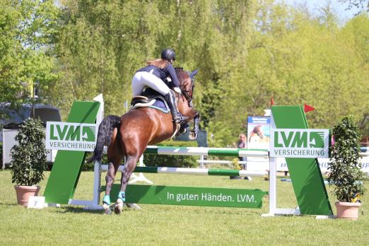 Foto: Bei sieben Etappen des LVM Cups Springen und Dressur hatte der Reiternachwuchs die Chance, sich für das große Finale beim Turnier SHS Holstein International zu qualifizieren - Fotograf: Johanna Wilke