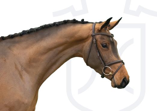 Foto: Marlene v. Don VHP Z avancierte mit 180.000 Euro Zuschlagspreis zur Preisspitze - Fotograf: Janne Bugtrup