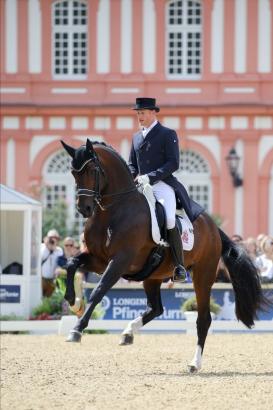 Foto: Der Hannoveraner Hengst Foundation und Matthias Alexander Rath in Wiesbaden - Fotograf: LL-Foto