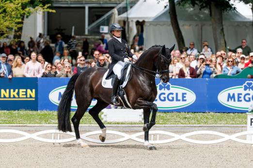 Foto: Meggle Group GmbH präsentiert den FEI Dressage Nations Cup am Freitag, 3. Juli ab 16:15 Uhr - Fotograf: © Stefan Lafrentz Foto: Meggle Group GmbH präsentiert den FEI Dressage Nations Cup am Freitag, 3. Juli ab 16:15 Uhr - Fotograf: © Stefan Lafrentz