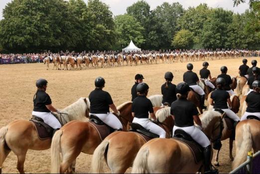 Foto: Neuer Weltrekord: 158 Reiter bildeten rund um den Allianz Park Tag die größte Haflinger- und Edelbluthaflinger Quadrille, die es je gegeben hat - Fotograf: ALRV/Andreas Steindl