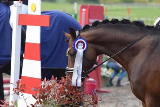 Foto: Bei Nordic Jumping events wird der Overall-Champion im Balios Hunter Cup 2022 ermittelt - Fotograf: RathmannVerlag/Malina Blunck