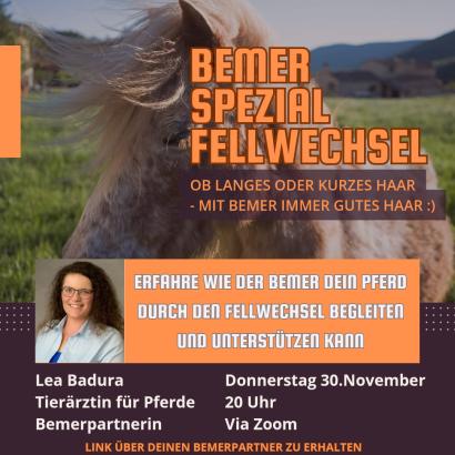 Zum Vergrößern einfach aufs Bild klicken!