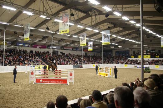 Foto: Impression Niedersachsenhalle – 24. Schau Hannoveraner Privathengste - Fotograf: Pantel