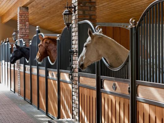 Foto: Pferdeboxen in den Black Horse Stables in Litauen - Fotograf: Röwer & Rüb