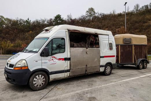 Foto: Der kontrollierte Pferdetransporter - Fotograf: Polizeipräsidium Mittelhessen