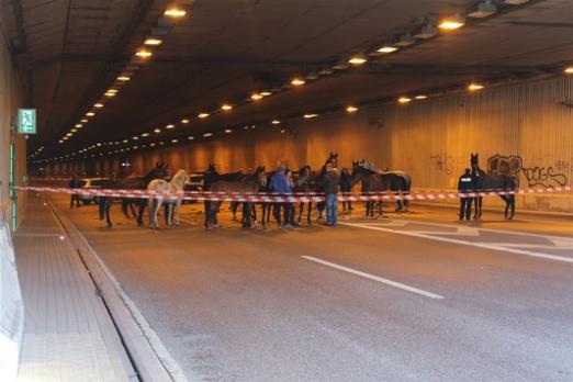 Foto: Pferde im Tunnel - Fotograf: Polizei Dortmund