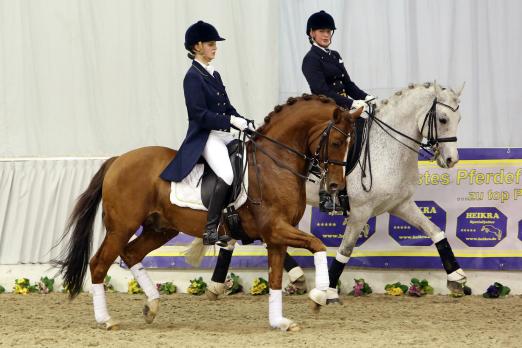 Foto: Reitponydeckhengste präsentieren sich zur Hengstschau des Ponyverbandes Hannover am 8. März in abwechslungsreichen Schaubildern - Fotograf: Ponyverband Hannover/ Pantel